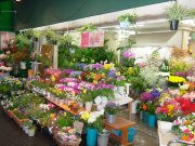 「大阪朝来花園」　（大阪府大阪市中央区）の花屋店舗写真2